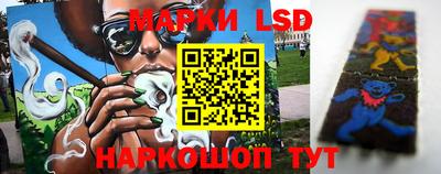 стафф Кузнецк