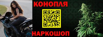 стафф Кузнецк