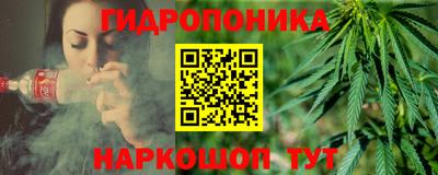 стафф Кузнецк