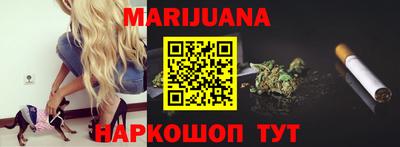 шишки Кудрово